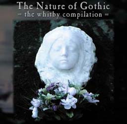 The Nature of Gothic
