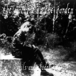 Veils and Shadows album cover