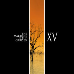 XV album cover